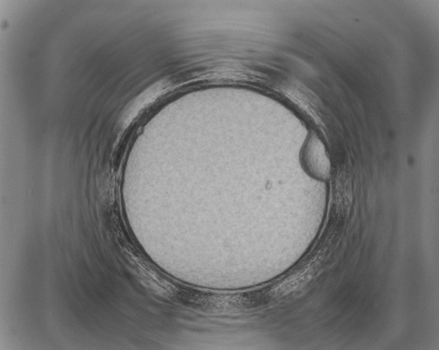 X0000087051067200705091130