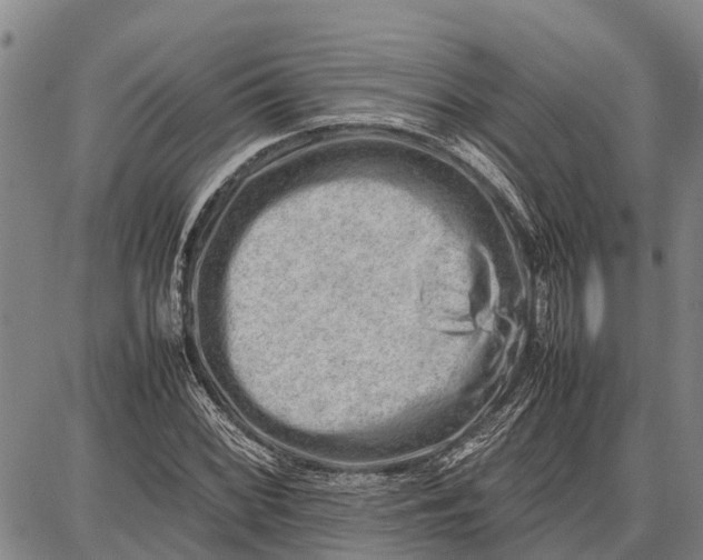 X0000087051068200705091130