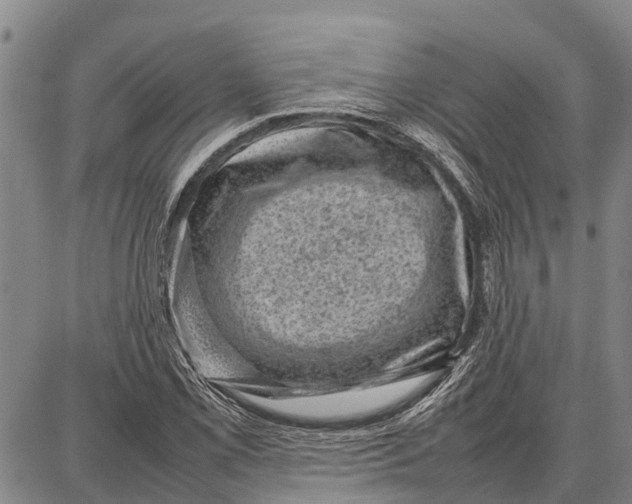 X0000087051069200705091130