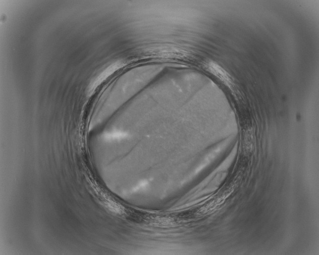 X0000087051071200705091130