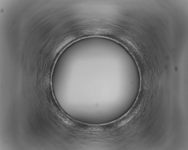 X0000087051073200705091130