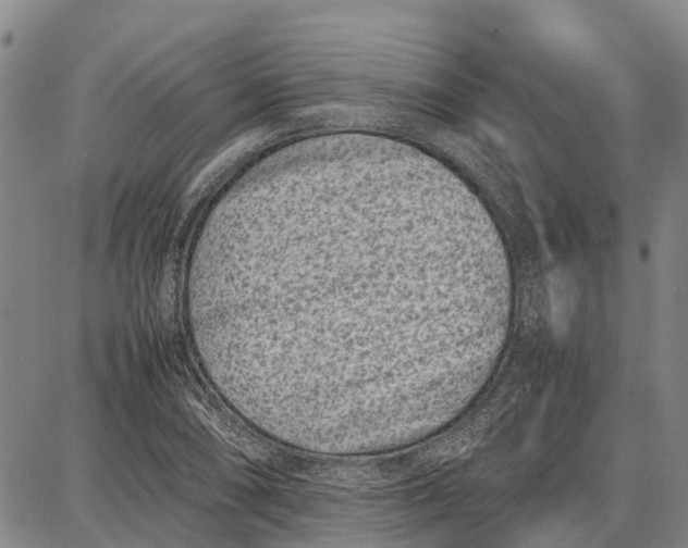 X0000087051074200705091130