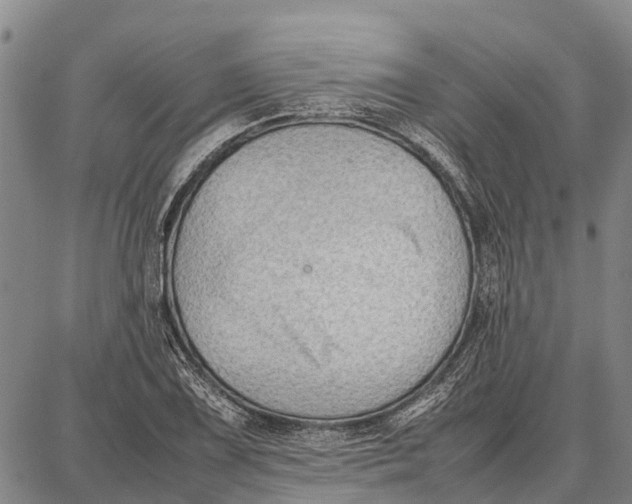 X0000087051075200705091130