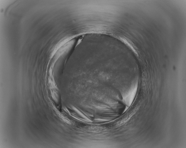 X0000087051077200705091130