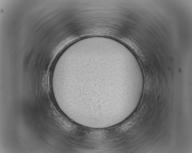 X0000087051078200705091130