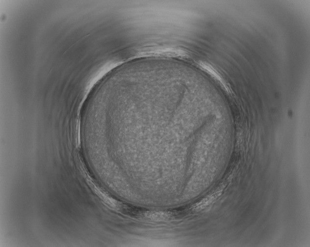 X0000087051079200705091130