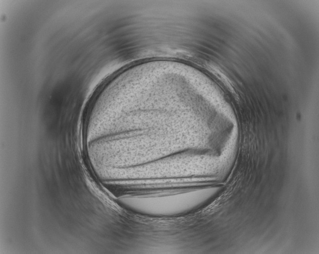 X0000087051080200705091130