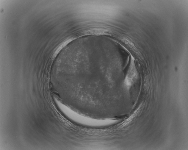 X0000087051081200705091130