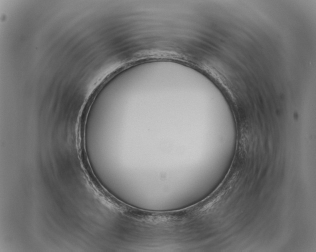 X0000087051082200705091130