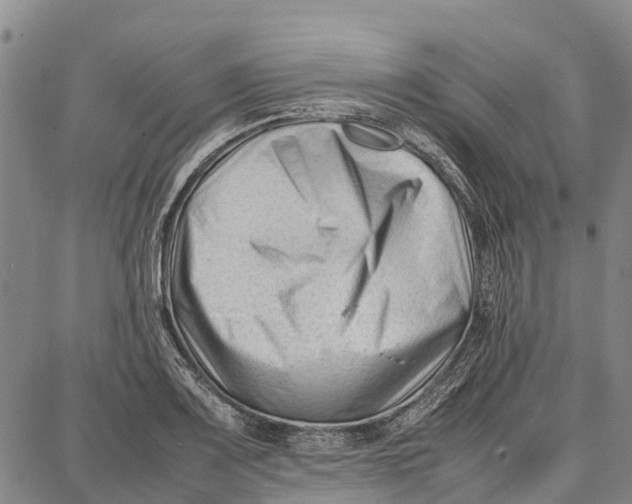 X0000087051083200705091130