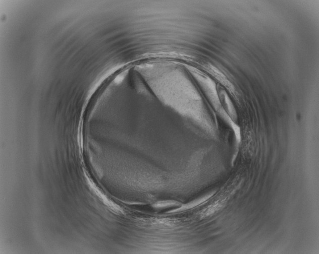 X0000087051084200705091130