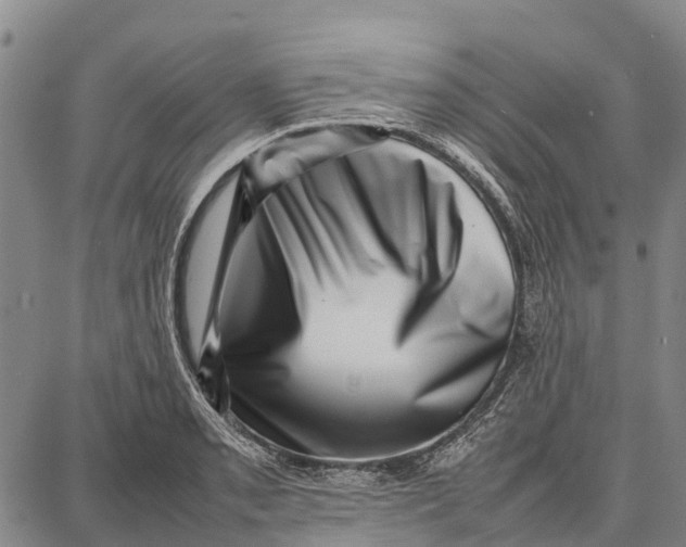 X0000087051085200705091130