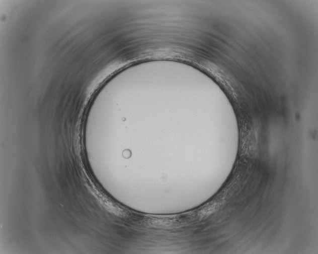 X0000087051086200705091130