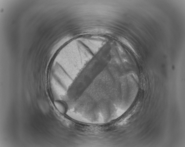 X0000087051087200705091130