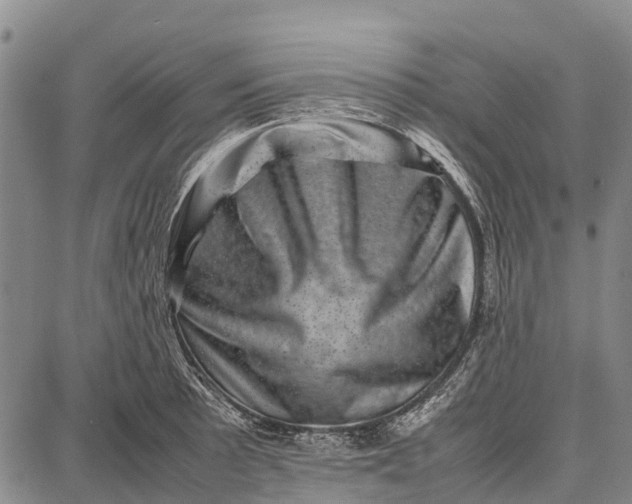 X0000087051089200705091129