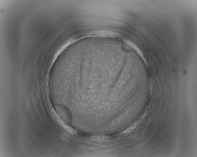 X0000087051091200705091129