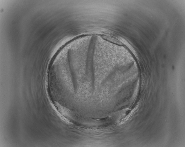 X0000087051093200705091129