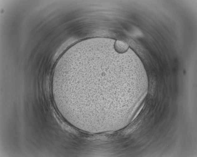 X0000087051094200705091129