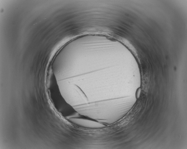 X0000087051096200705091129