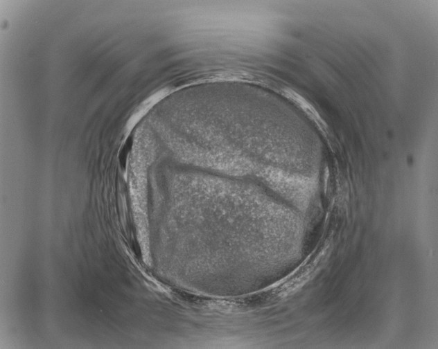 X0000087051097200705091129