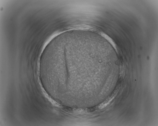 X0000087051099200705091129