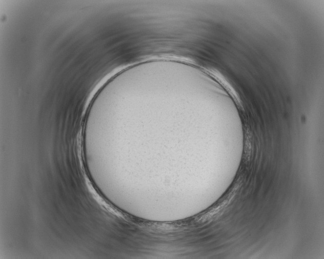 X0000087051100200705091129