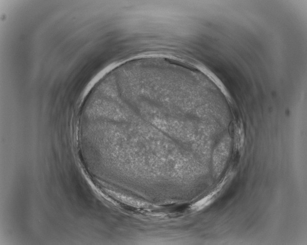 X0000087051101200705091129