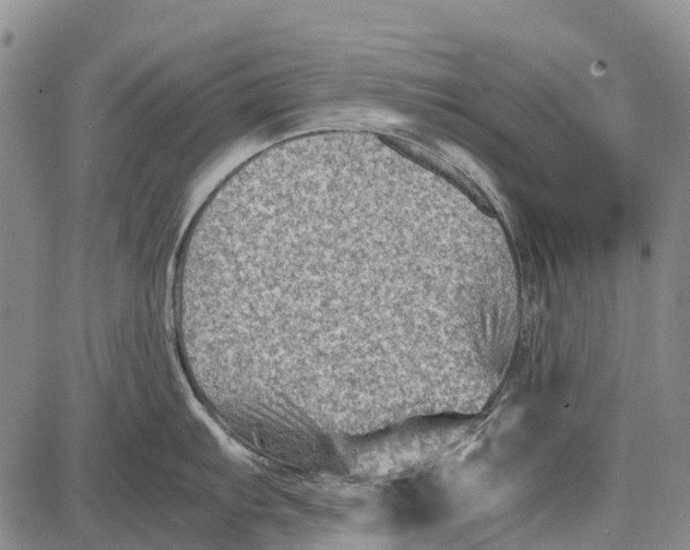 X0000087051103200705091129