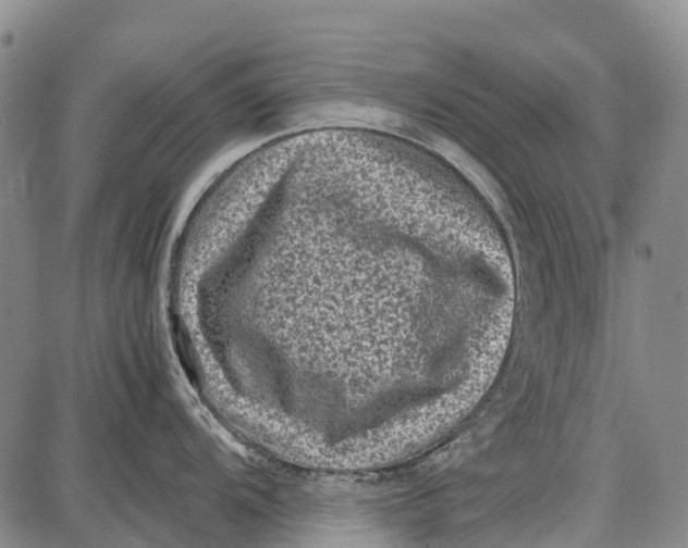 X0000087051104200705091129