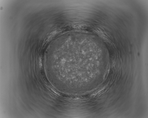 X0000087051106200705091128