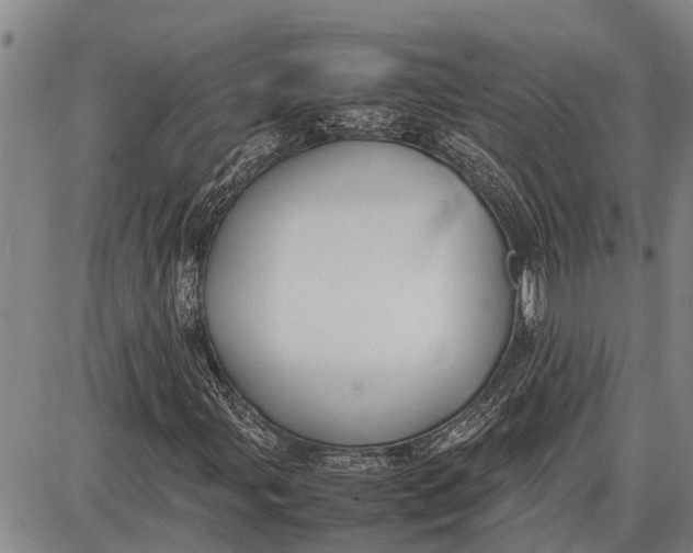 X0000087051107200705091128