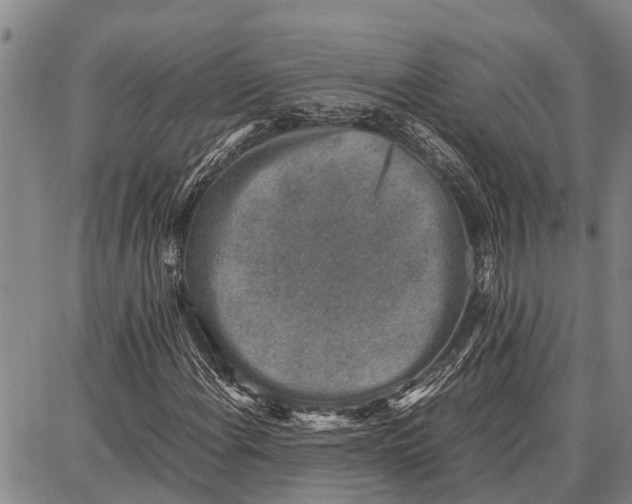 X0000087051108200705091129