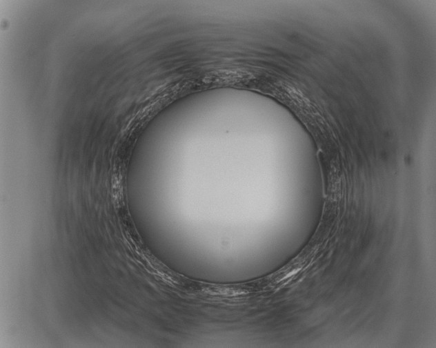 X0000087051109200705091129