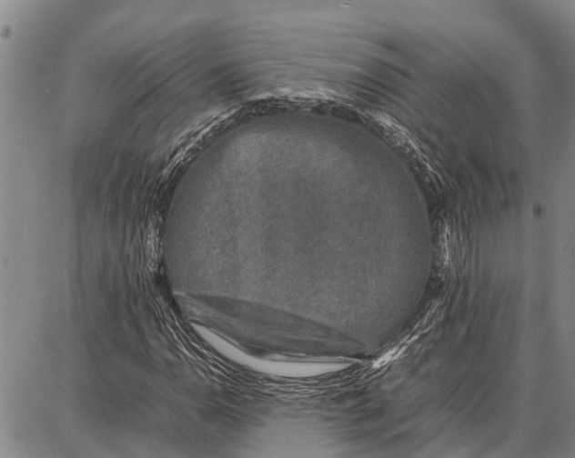 X0000087051110200705091129