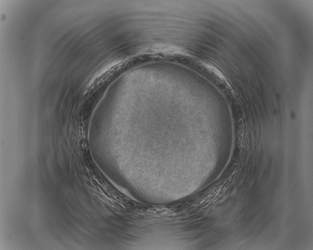 X0000087051112200705091129