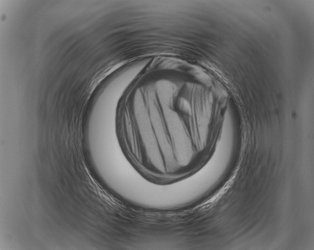 X0000087051113200705091129