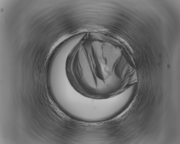 X0000087051114200705091129