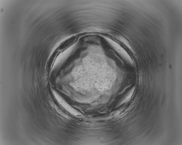 X0000087051116200705091129