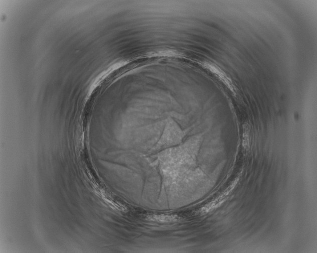 X0000087051117200705091129