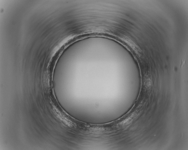 X0000087051118200705091129