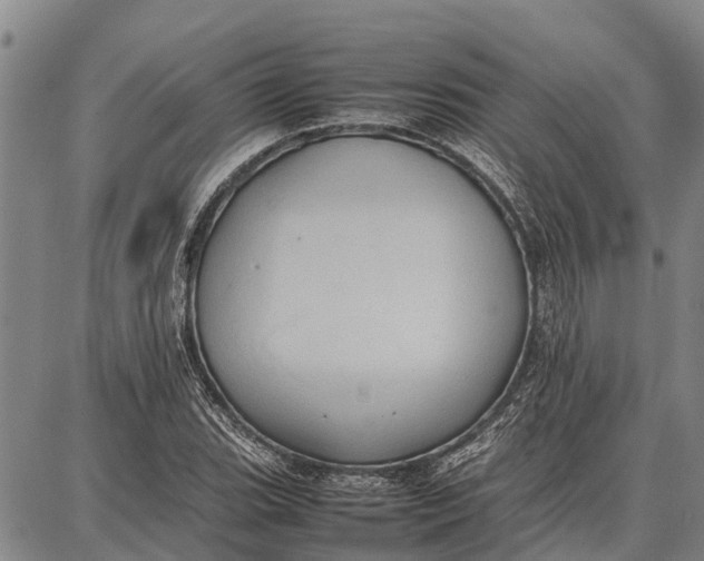 X0000087051119200705091129