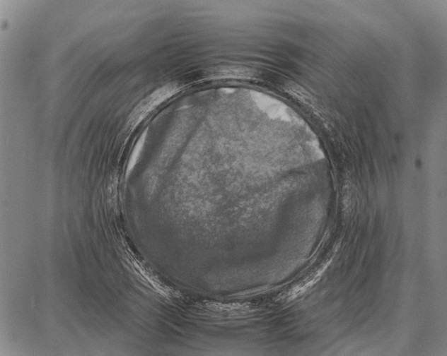 X0000087051121200705091129