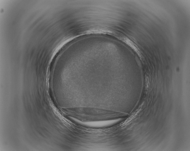 X0000087051124200705091129