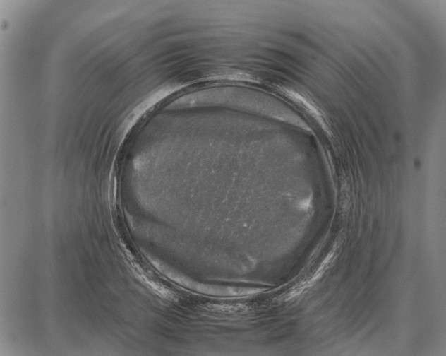 X0000087051125200705091129