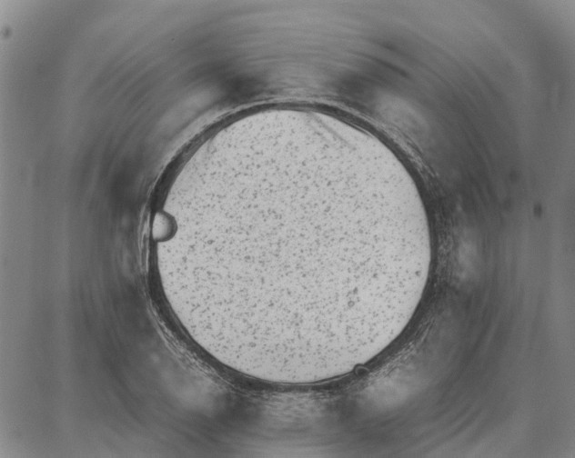 X0000087051126200705091129