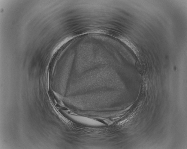 X0000087051127200705091129