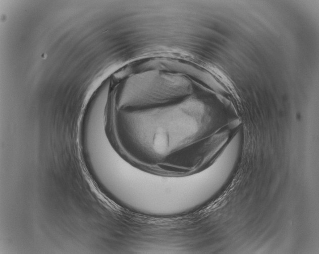 X0000087051128200705091129