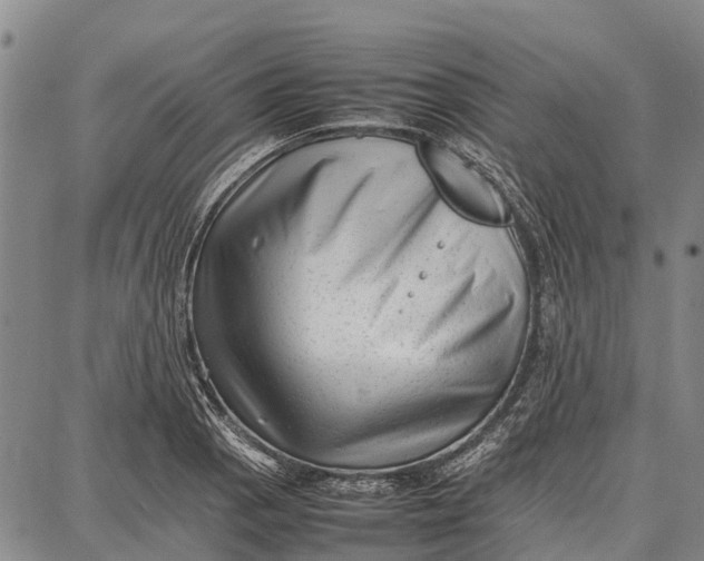 X0000087051129200705091129