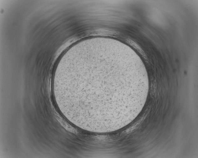 X0000087051130200705091129