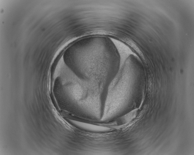 X0000087051132200705091129